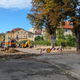 Po poseku kostanjev na Trubarjevi vre: Mariborčani napovedali shod v bran drevesom