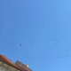 FOTO in VIDEO: Človek v zraku nad mestom? Ni fotomontaža in ni umetna inteligenca, to se res dogaja na Ptuju
