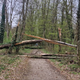 Možne supercelice, ogromna toča in celo tornado, Avstrijci izdali najvišjo stopnjo nevarnosti