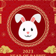 Kitajski horoskop 2023 (napoved): kaj obljublja leto vodnega zajca (in katero znamenje bo najbolj srečno)