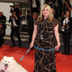 V središču fimskega festivala v Cannesu en prav POSEBEN pes