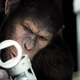 Frank Westerman o iskanju ’prve opice, ki je splezala z drevesa’ v antropološki detektivki Mi, homini