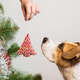 Pozor: božični okraski, ki so za psa lahko usodni (in zelo verjetno visijo tudi na vaši smreki)