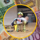Znano je, koliko je gasilec Sandi (ki mu je po poplavah pomagala celotna Slovenija) dejansko prejel na svoj račun