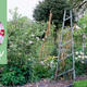 Nasveti za preventivne in naravne ukrepe proti najpogostejšim škodljivcem na vrtu