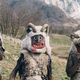 Sloviti National Geographic se je slovenskemu pustovanju poklonil s "pošastnimi" fotografijami