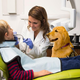 Ponekod po Sloveniji otrokom pri zobozdravniku družbo dela terapevtski kužek