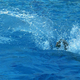 Nesreča na bazenu v Hrastniku: 5-letnik na plavalnem tečaju skoraj utonil (kaj je šlo narobe?)