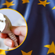 Nova pravila EU: kako bodo potrošniki zaščiteni pred visokimi cenami energije?