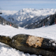 Na smučišču našli 150 let staro steklenico: v njej še vedno tekočina, odprli so jo in poskusili, nato pa ...