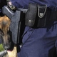 Policistom pobegnil službeni pes: stekel na travnik, napadel in ugriznil občana (vse pa zdaj zanima, kaj bo z njim)