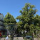 Obiskali smo eno najbolj zdravih evropskih mest, kjer ljudje brez zadržkov po vodnjakih capljajo kot štorklje (FOTO)
