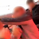 Masovni pretep med potniki prekinil polet, pilot moral nujno obrniti letalo!