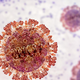 Nevaren virus tik ob naši meji: število težkih primerov se je podvojilo, razglasili izredne ukrepe!