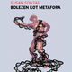 Knjiga / Susan Sontag: Bolezen kot metafora