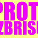 »Proti izbrisu volilne pravice tujcem«