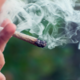 Uživanje marihuane preseglo kajenje cigaret