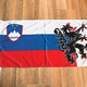 Teden / Kateri posegi v slovensko zastavo so dopustni in kateri ne