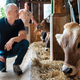 V središču / Uničevanje javne veterinarske mreže