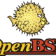 Izšla nova verzija OpenBSD 8.0