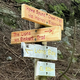 Sledili Google Mapsu v hribe, reševal jih je helikopter