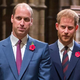 VIDEO: Harry in William govorita in sta v dobrih odnosih