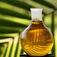 IzdelkI s PalmovIm oljem niso ne zdrava ne trajnostna izbira