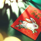 Kitajsko novo leto: kaj prinaša obdobje zajca?