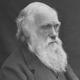 (R)evolucija je svoje otroke: “Prebujence” moti Charles Darwin