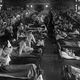 Pandemije so v zgodovini vzele že na stotine milijonov človeških življenj