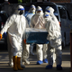 WHO svari pred novo smrtonosno pandemijo; virusom, ki ima do 75-odstotno smrtnost