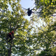 Jadralna padalka obtičala na drevesu na Lisci