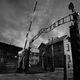 Slovenske in goriške žrtve Auschwitza
