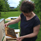Slabe napovedi: letos lačne čebele, v prihodnje pa mi vsi?