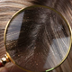 Sivenje, prhljaj in izpadanje las lahko opozarjajo na bolezen