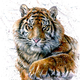 Kitajsko novo leto pred durmi: kaj 12 znamenjem prinaša tiger?