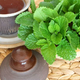 Pripravite čajne mešanice, poparke in sirupe, prepredene z odlično aromo, ki pomirja in osveži
