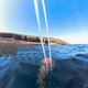 Zahodno obalo Istre okupirale nevarne meduze, lovke so lahko dolge tudi do enega metra