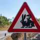 Smeh za domačine in turiste: pozor, dva zajca prečkata cesto