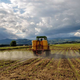 Evropska komisija podaljšala dovoljenje za prodajo "verjetno" rakotvornega herbicida