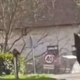 Video: Groza v Mozirju, konj zdirjal naravnost pred avto