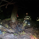 Foto: Črnjanski gasilci z vodo na ramenih zagrizli v strm breg in rešili Pogorevc