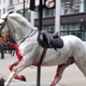 Video: Kaotični prizori sredi Londona, na begu najmanj dva konja