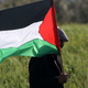 Vlada brez sklepa o priznanju Palestine