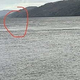 Letos že šestič videli pošast iz Loch Nessa