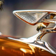 Bentley povečal svoj čebelnjak in pričakuje rekordno proizvodnjo medu