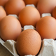 V več slovenskih trgovinah odpoklicali jajca zaradi salmonele