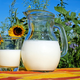 Surovo mleko: je res škodljivo in nevarno?
