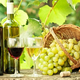 V Ljutomeru razglasili leto prleških vrednot in vinske kulture