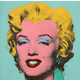 Warholov portret Marilyn Monroe prodali za rekordnih 195 milijonov dolarjev